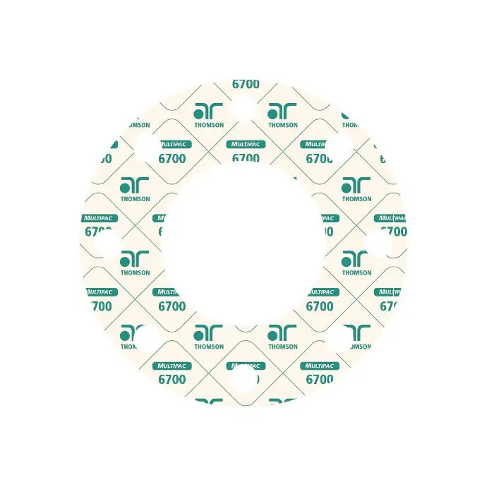 MultiPac 6700 Gasket