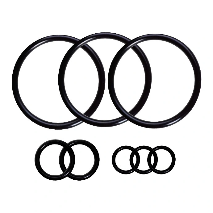 Kalrez extreme service elastomer gasket for high temperature and aggressive chemical resistance